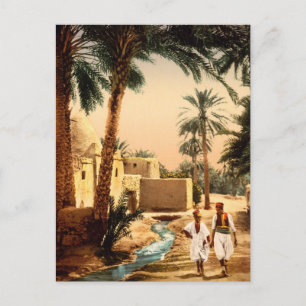 Street in the old town, Biskra, Algeria Postkarte