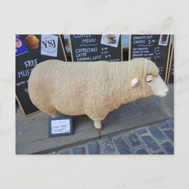 Street Sheep Postkarte (Vorderseite)