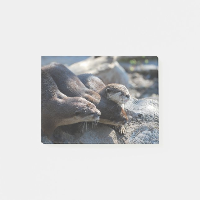 Streichelnotter Post-it Klebezettel (Vorderseite)