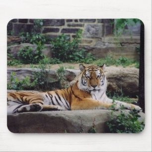Streifen Mousepad