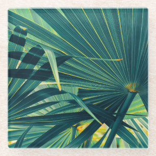 Streifen Palmblätterleaf Toned Texture Glasuntersetzer