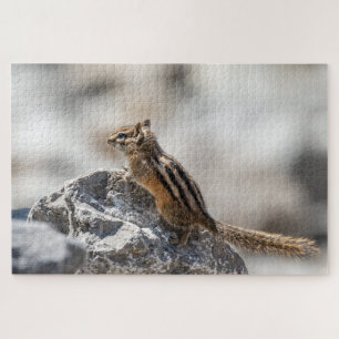 Streifenhörnchen auf den Felsen – Schnappschuss au Puzzle