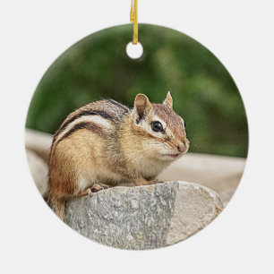 Streifenhörnchen auf einem Felsen Keramikornament