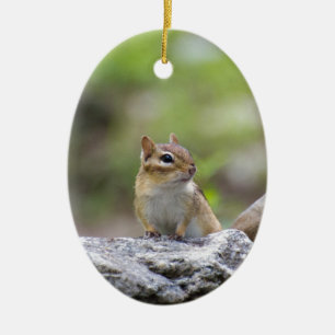 Streifenhörnchen auf einem Felsen Keramikornament