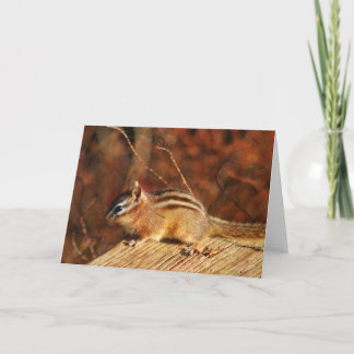 Streifenhörnchen-Gelegenheitskarte Karte
