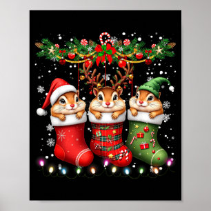 Streifenhörnchen in Weihnachts-Socken Leuchtet Str Poster