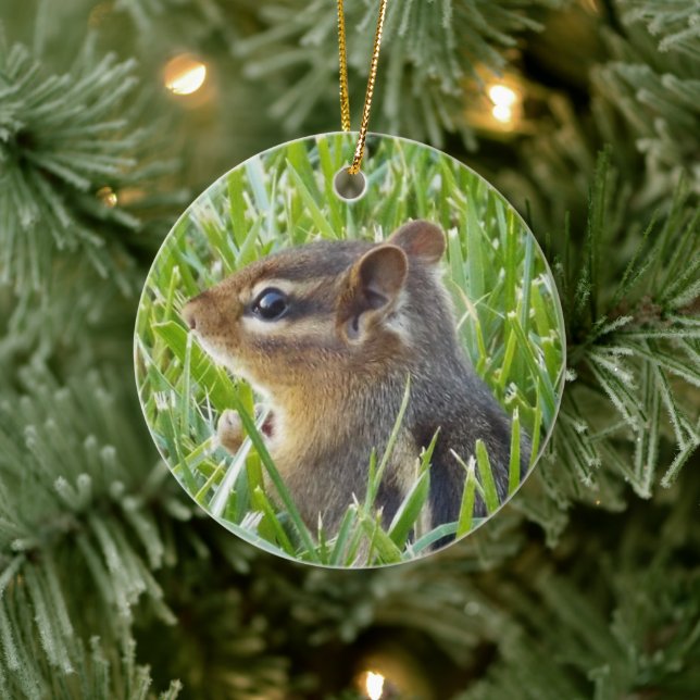 Streifenhörnchen Keramik Ornament (Baum)