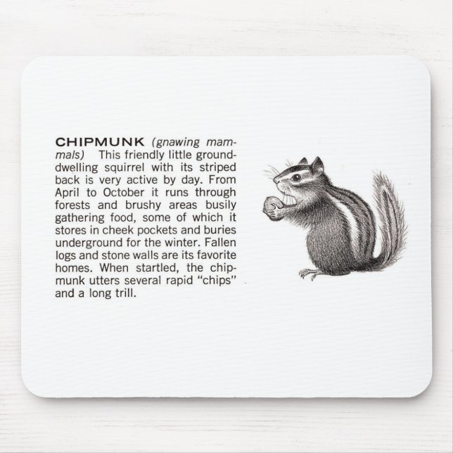 Streifenhörnchen Mousepad (Vorne)