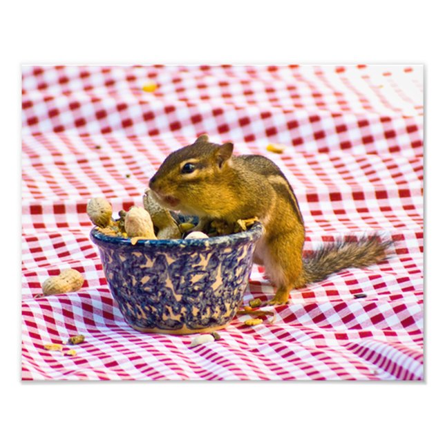 Streifenhörnchen Picknick Fotodruck (Vorne)