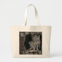 Streifenkauz