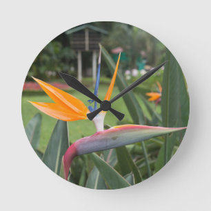 Strelitzia Bird des Paradieses Blume / Pflanze Runde Wanduhr