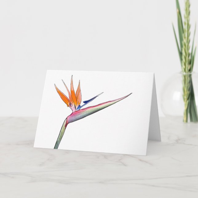 Strelitzia-Karte Feiertagskarte (Vorderseite)