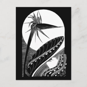 Strelitzia overblown - Schwarzweiß Vintage Kunst Postkarte