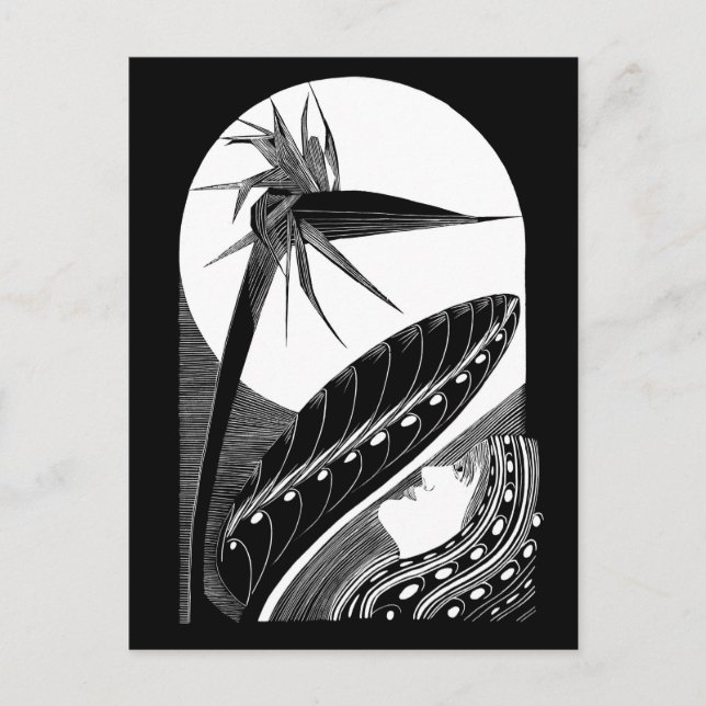 Strelitzia overblown - Schwarzweiß Vintage Kunst Postkarte (Vorderseite)