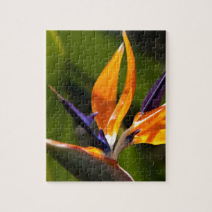 Strelitzia. Paradiesvogel Blume Puzzle
