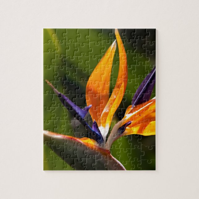 Strelitzia. Paradiesvogel Blume Puzzle (Vertikal)