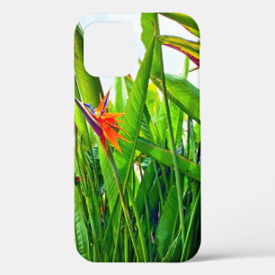 Strelitzia Reginae & Blätter Case-Mate iPhone Hülle