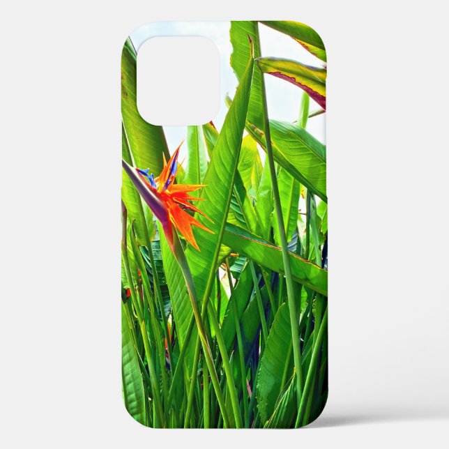 Strelitzia Reginae & Blätter Case-Mate iPhone Hülle (Rückseite)
