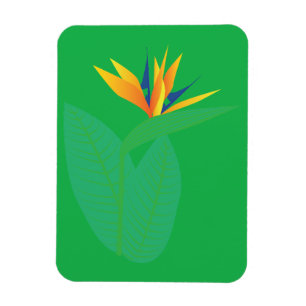 Strelitzie Magnet