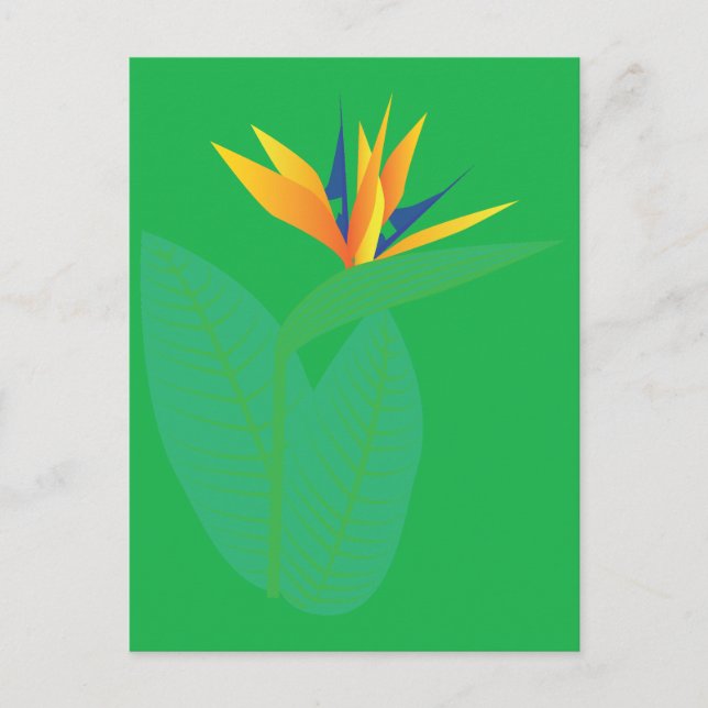 Strelitzie Postkarte (Vorderseite)