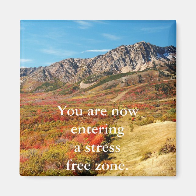 Stress Free Magnet (Vorne)