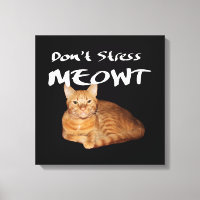 Stress Meowt nicht - Orange Cat Stress Me out