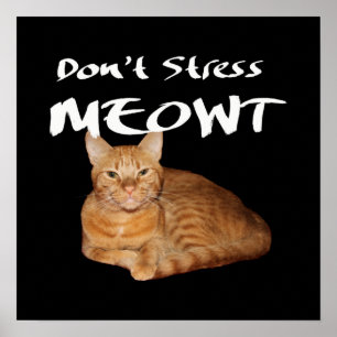 Stress Meowt nicht - Orange Cat Stress Me out Poster