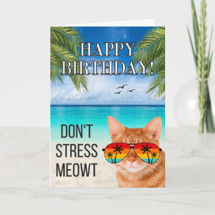 Stress mich nicht, Miau, Lustige Tabby-Katze Alles Karte