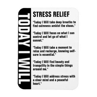 Stress Relief Goals Erinnerung anpassen Magnet