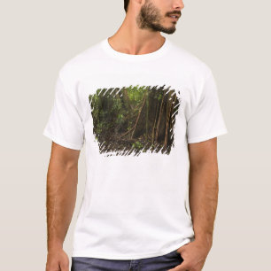 Stress Roots. Regenwald, Mapari Rupuni, T-Shirt