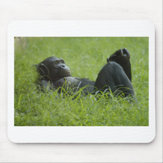 Stressabbau Mousepad