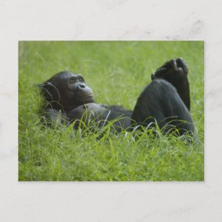 Stressabbau Postkarte