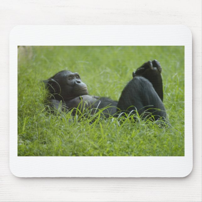 Stresssanierung Mousepad (Vorne)