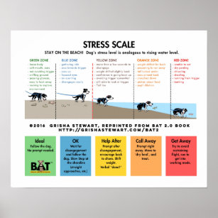 Stressskala für Hunde - Vermeiden/Fear Beach Analo Poster