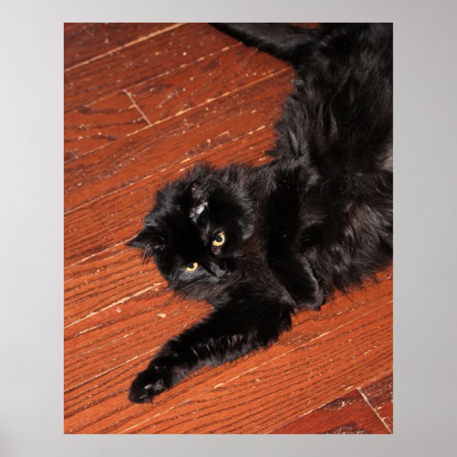 Stretch Poster (Vorne)