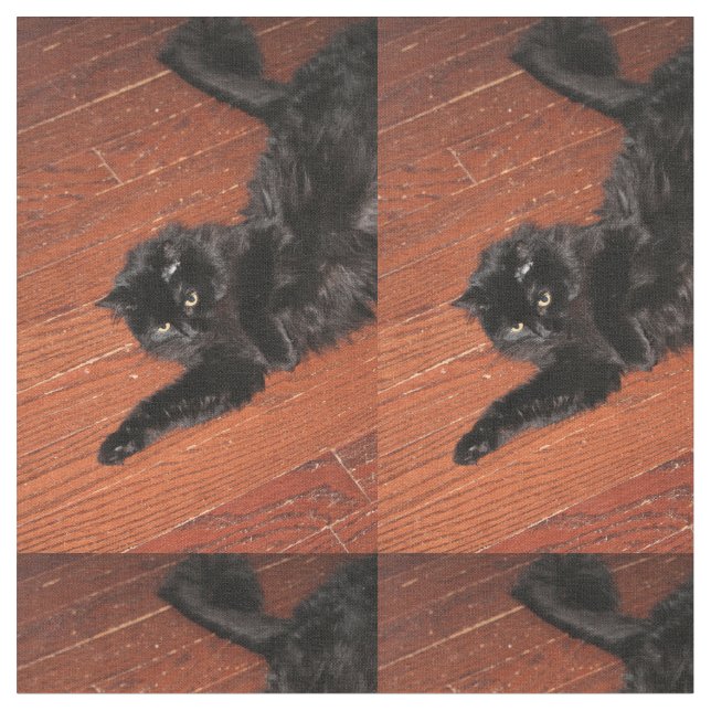Stretch Stoff (Nahaufnahme)