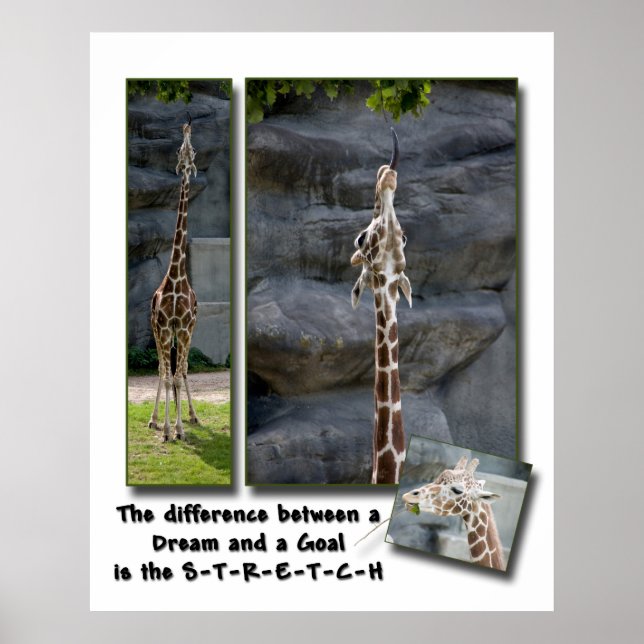 Stretch-Yourself-Poster Poster (Vorne)