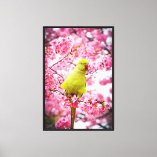 Stretched Canvas Print - Cherry Blossom Parakeet Leinwanddruck