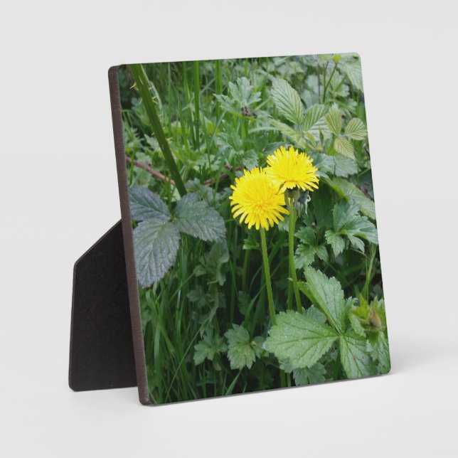 Stretched Canvas Print Fotoplatte (Vorderseite)