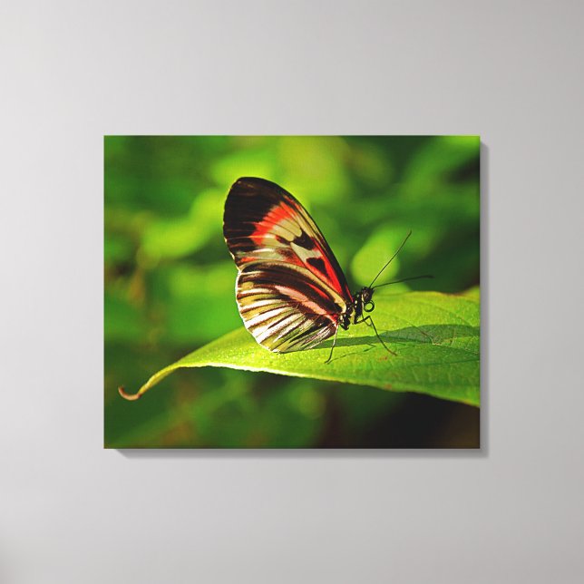 Stretched Canvas Print Leinwanddruck (Vorderseite)