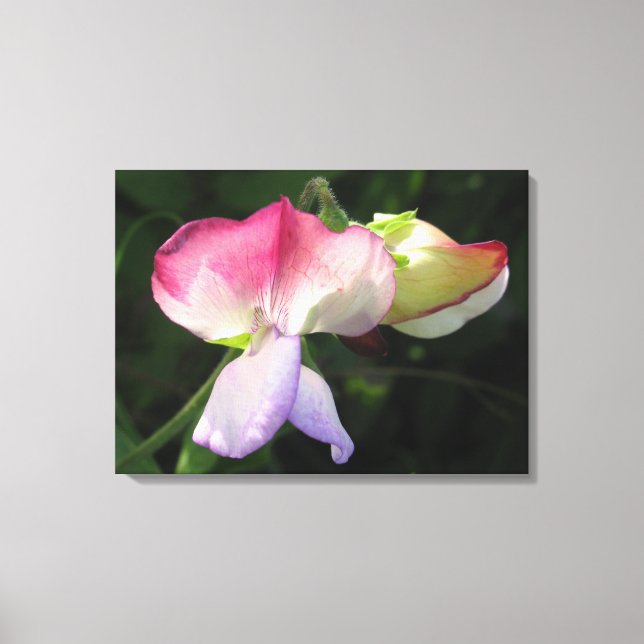 Stretched Canvas Print Leinwanddruck (Vorderseite)