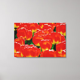 Stretched Canvas Print Leinwanddruck