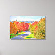 Stretched Canvas Print