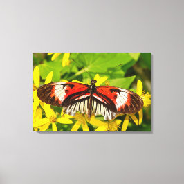 Stretched Canvas Print Leinwanddruck