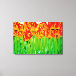 Stretched Canvas Print Leinwanddruck