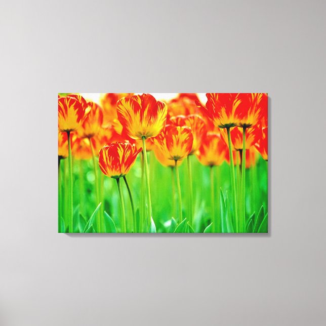 Stretched Canvas Print Leinwanddruck (Vorderseite)