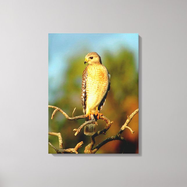 Stretched Canvas Print Leinwanddruck (Vorderseite)