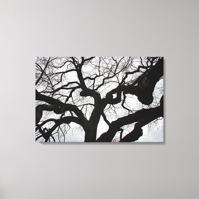 Stretched Canvas Print Leinwanddruck (Vorderseite)