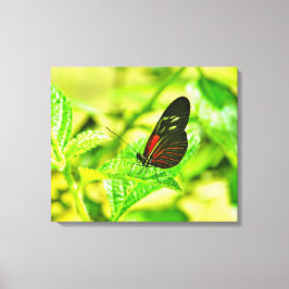 Stretched Canvas Print Leinwanddruck