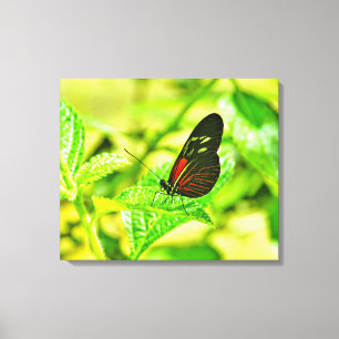 Stretched Canvas Print Leinwanddruck